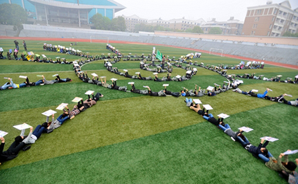 “多米諾”倒下請保護生物多樣性