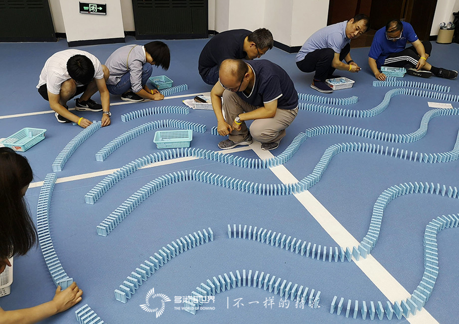 西門子多米諾團(tuán)隊(duì)大挑戰(zhàn)