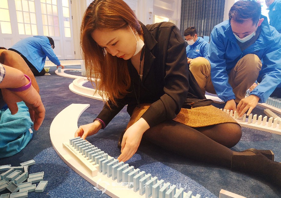 承載夢想，艾多美（中國）團(tuán)隊共創(chuàng)多米諾